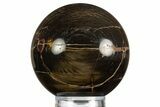 Polished Petrified Wood Sphere #330202-1